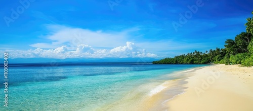 Pristine Tropical Beach with Clear Blue Waters and Lush Greenery Under a Bright Sky photo