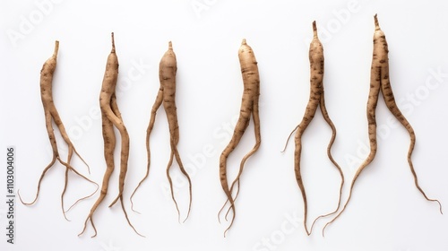 Top view of long pepper roots arranged on a clean white background showcasing their unique shapes and textures for culinary use. photo