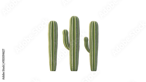 Cactus, white isolate background