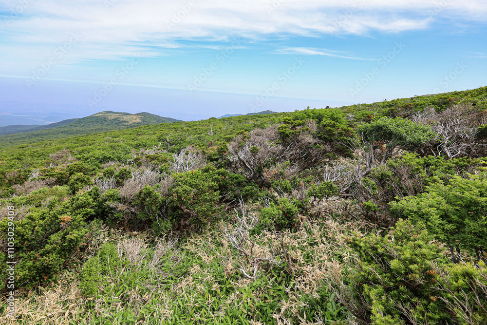 제주도 제주시 애월읍 광령리 윗세오름 제주도 제주시 애월읍 광령리 윗세오름