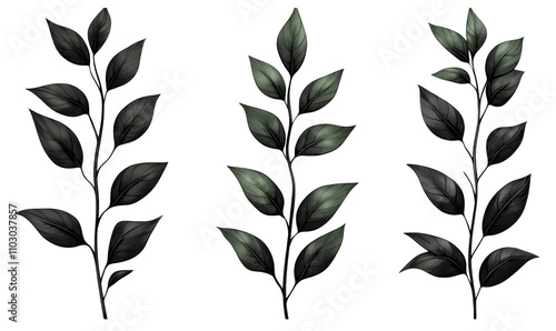 Elegant Dark Green Black Botanical Leaves Plant Branches Nature Design Elements