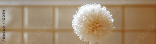 A close-up of a soft, fluffy object resembling a dandelion puff, set against a neutral background, evoking calm and simplicity. photo