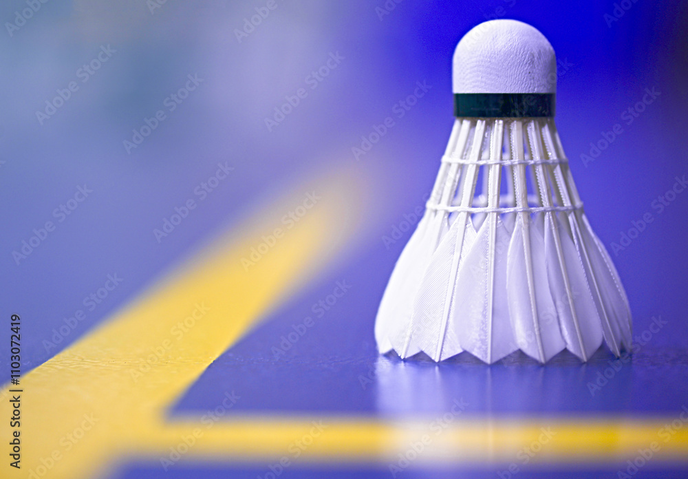 badminton shuttlecock on the court badminton shuttlecock on the court