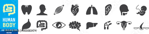 Human Body Icons set. Line Editable stroke Icons set collection vector. 