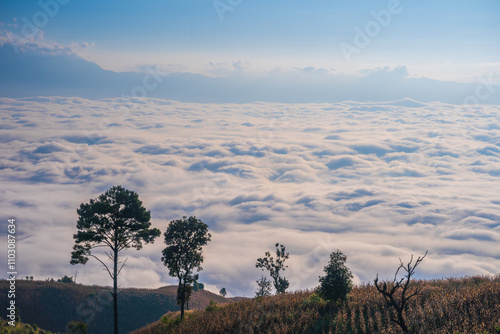 Beautiful scenery of the sea of mist in the morning at the Car Camping site with a viewpoint nature at Doi Ba Lu Kho Mountain in Mae Chaem, Chiang Mai, Thailand. Background concept. photo