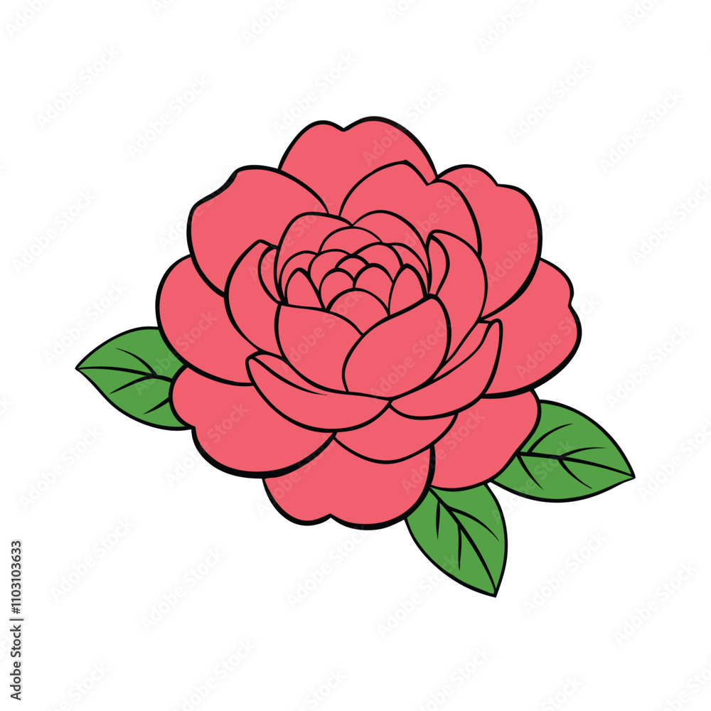 Peony Flower Vector Art Illustration