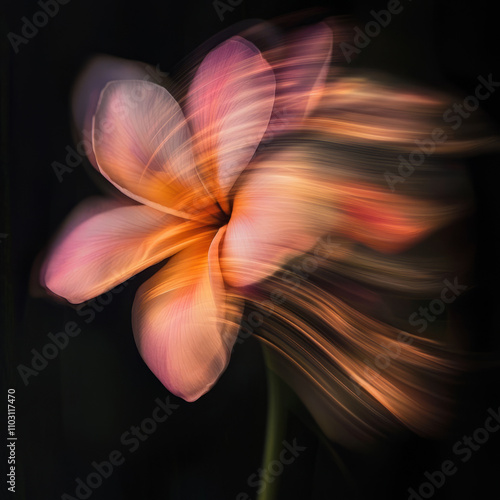 Frangipani Flowers Design Assets