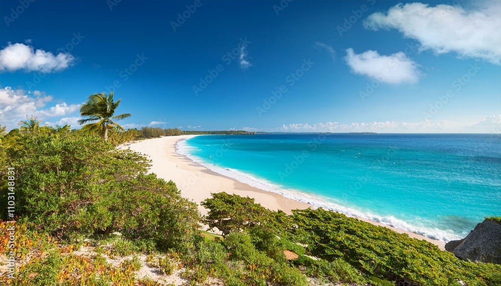 Beautiful tropical beach with palm trees, sunset beach seascape, design template for travel banner. Beautiful tropical beach with palm trees, sunset beach seascape, design template for travel banner.