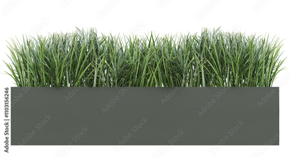 Green leaves plants bush in gray concrete planter bucket Green leaves plants bush in gray concrete planter bucket