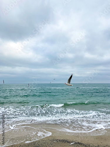 Observation from the sandy beach of the flight of a seagull over the coastal waves covered with white foam.