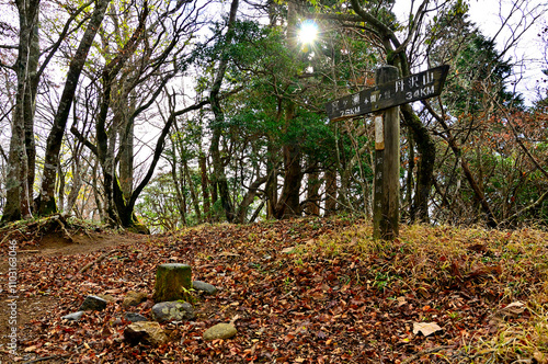 丹沢山地の本間ノ頭山頂と三角点
 photo