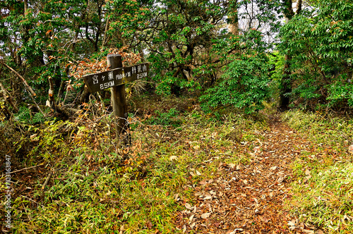 丹沢山地の円山木ノ頭山頂
 photo