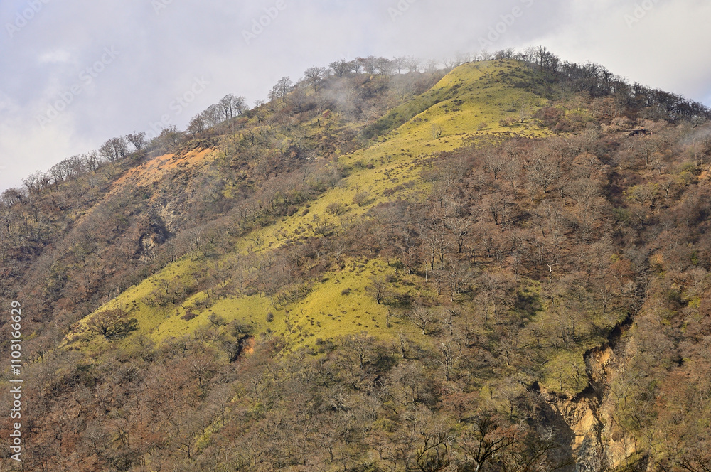 Fototapeta premium 丹沢山地の丹沢山より 晴れ行く不動ノ峰 