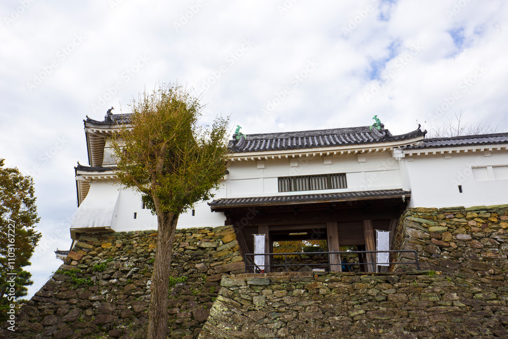 Wakayama Castle in Wakayama city, Kansai, Japan. Wakayama Castle in Wakayama city, Kansai, Japan.