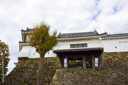 Wakayama Castle in Wakayama city, Kansai, Japan. photo