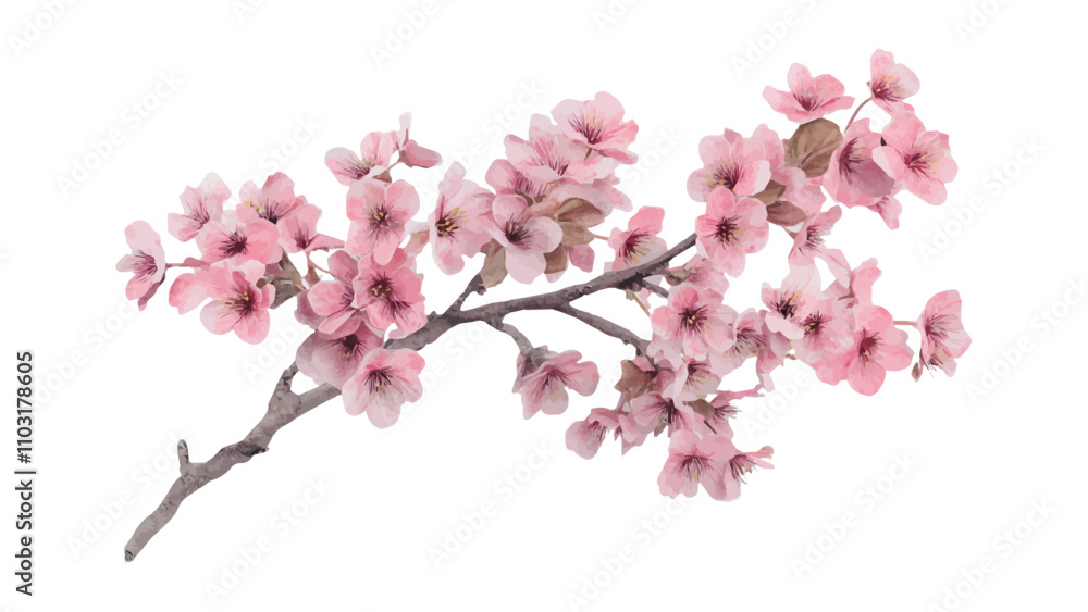 Fototapeta premium Cherry blossom thank you card design template. Watercolor cherry blossom invitation