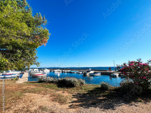 Wallpaper Mural Scenic coastal landscape with boats docked at a peaceful marina Torontodigital.ca