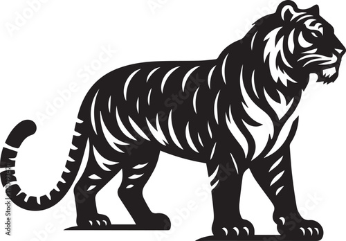 Tiger silhouette - vector image of tiger - jungle animal of tiger - fierce tiger, photo