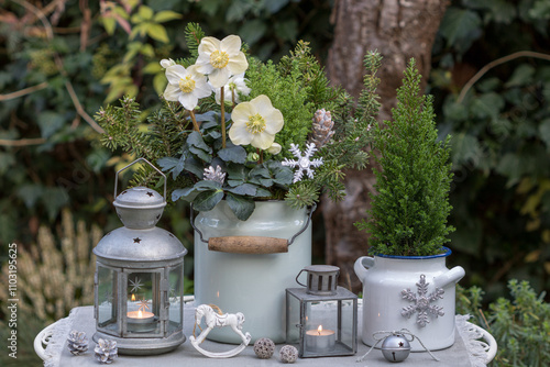 Weihnachts-Arrangement mit Christrose und Kleinkonifere in Emaille-Töpfen und vintage Laternen photo