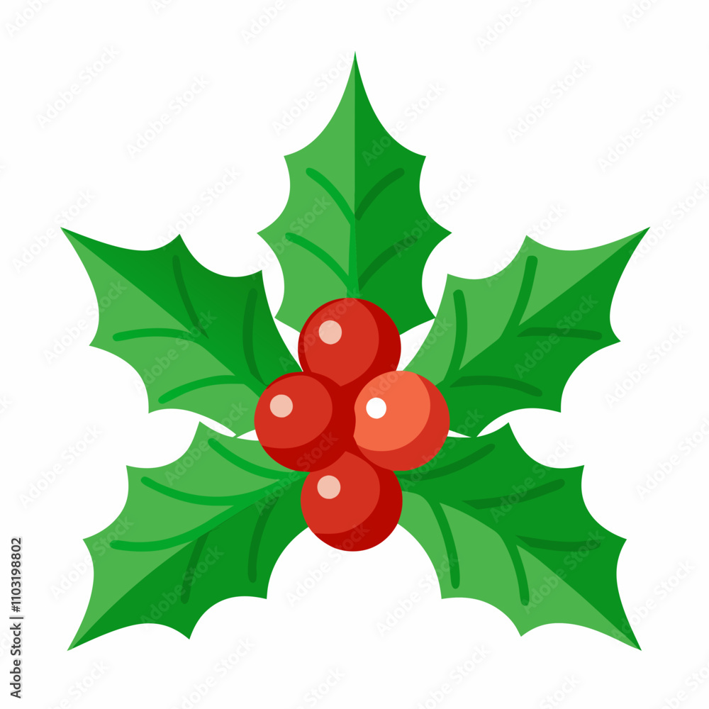 High-quality vector image of holly leaves. High-quality vector image of holly leaves.