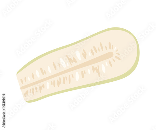 Slice zucchini isolated on white background. Hand drawing vector illustration