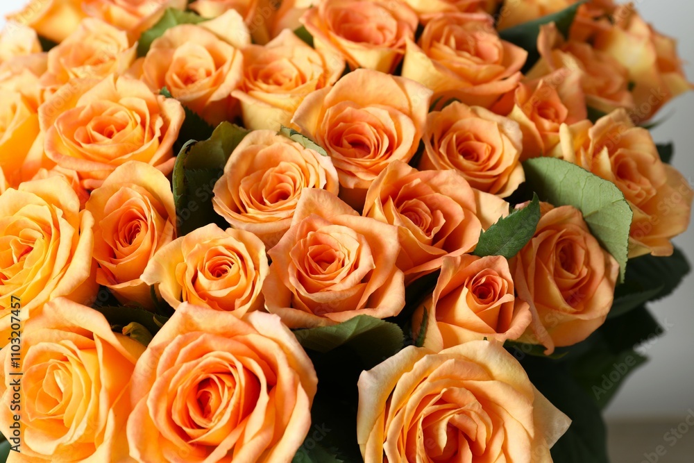 Beautiful bouquet with orange roses Beautiful bouquet with orange roses
