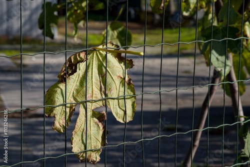 Camminare e fotografare la bellezza italiana nelle sue parti più affascinanti e nascoste 