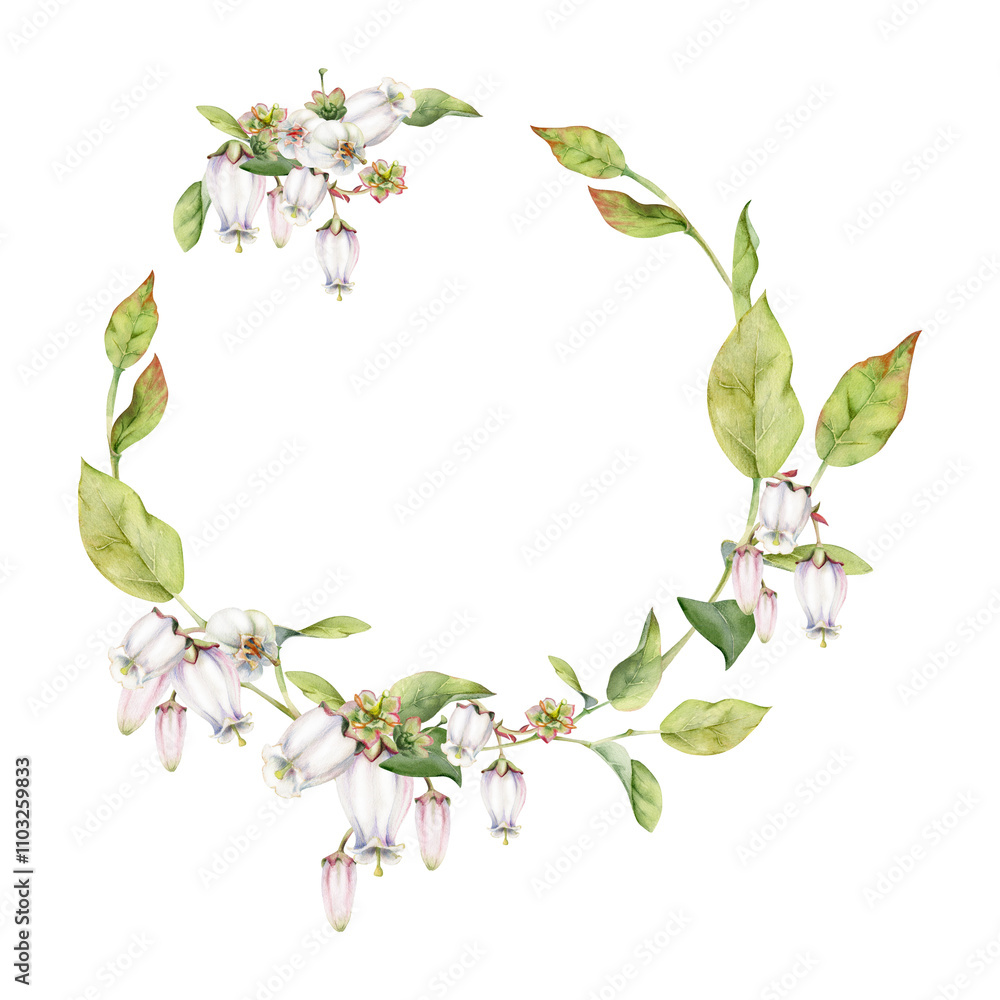 Fototapeta premium Blueberry white pink bell flower and bud with green leaves on branches, hand drawn in watercolor, wildflower botanical illustration. Isolated wreath garland frame. Wedding, florist shop, scrapbooking