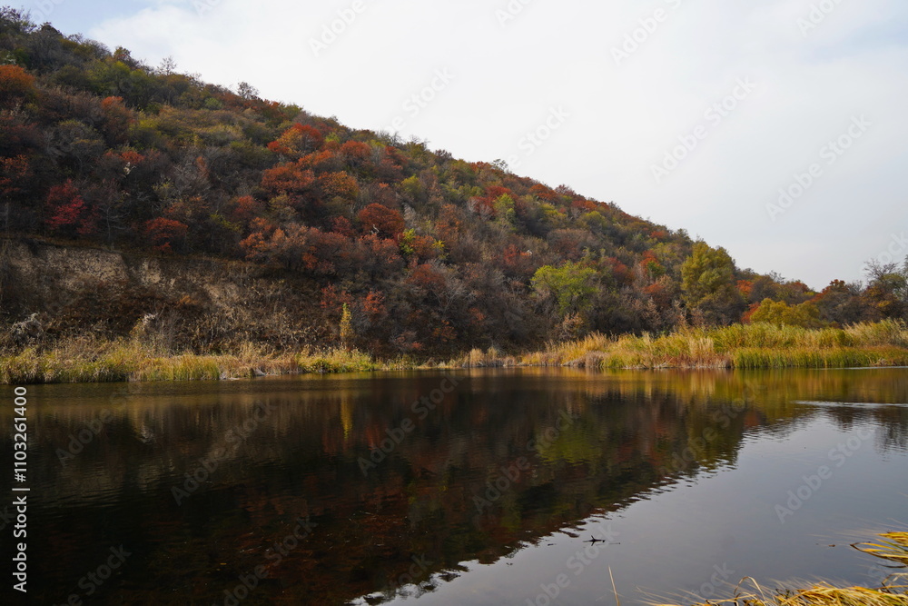 A pond in a mountainous area with different vegetation. A pond in a mountainous area with different vegetation.