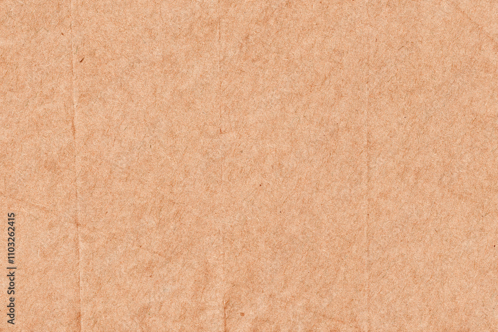 Fototapeta premium Kraft Paper Texture