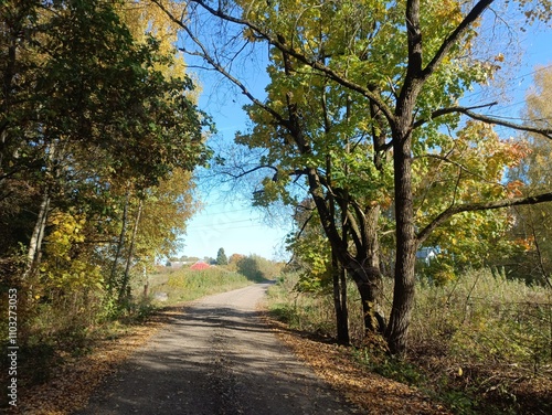 Talsa park during sunny autumn day. Oak and birch tree forest. Sunny day with white clouds in blue sky. Bushes are growing in woods. Fall season. Nature. Talsos parkas. photo