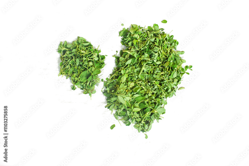 pieces of dry green tea on white background, Fenugreek leave leaf with wihte back ground,Group leaves of trifolium alexandrinum or cluster of leaves of Egyptian clover, berseem clover, indian pieces of dry green tea on white background, Fenugreek leave leaf with wihte back ground,Group leaves of trifolium alexandrinum or cluster of leaves of Egyptian clover, berseem clover, indian