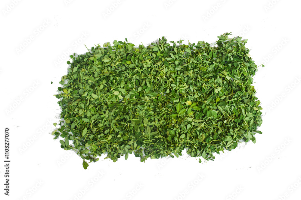 pieces of dry green tea on white background, Fenugreek leave leaf with wihte back ground,Group leaves of trifolium alexandrinum or cluster of leaves of Egyptian clover, berseem clover, indian pieces of dry green tea on white background, Fenugreek leave leaf with wihte back ground,Group leaves of trifolium alexandrinum or cluster of leaves of Egyptian clover, berseem clover, indian