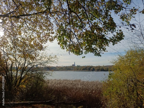 Talsa park during sunny autumn day. Oak and birch tree forest. Sunny day with white clouds in blue sky. Bushes are growing in woods. Fall season. Nature. Talsos parkas. photo