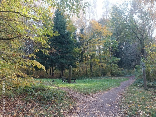 Talsa park during sunny autumn day. Oak and birch tree forest. Sunny day with white clouds in blue sky. Bushes are growing in woods. Fall season. Nature. Talsos parkas. photo