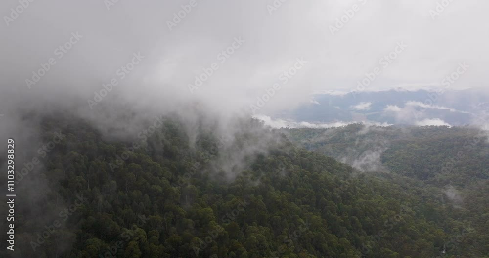 Aerial view of lush forest and majestic mountains shrouded in mist and clouds, Mount Buffalo, Victoria, Australia. Aerial view of lush forest and majestic mountains shrouded in mist and clouds, Mount Buffalo, Victoria, Australia.