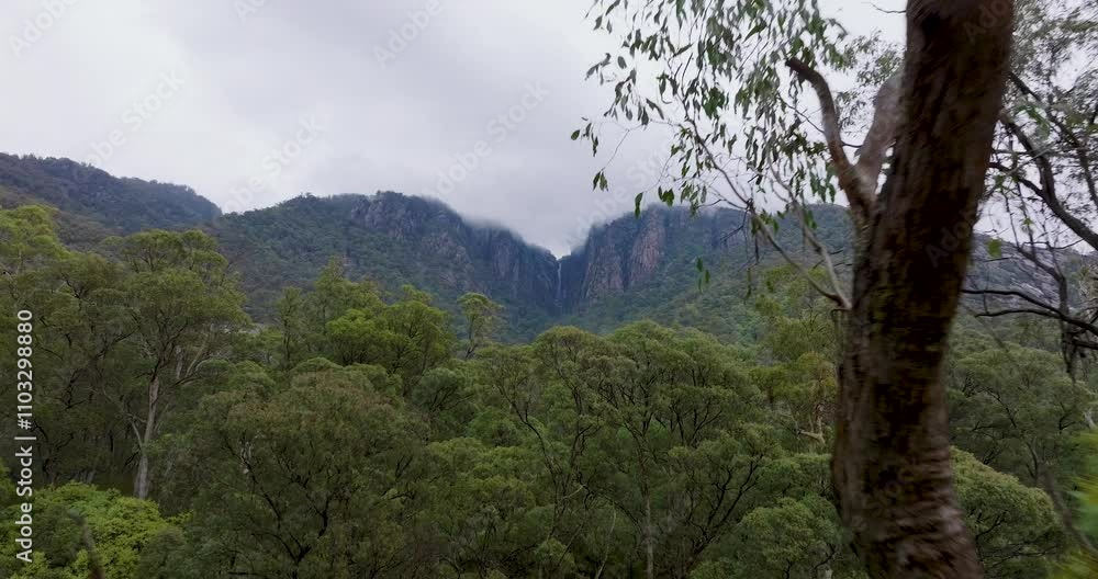 Aerial view of majestic Mount Buffalo surrounded by lush forest and greenery, Mount Buffalo, Victoria, Australia. Aerial view of majestic Mount Buffalo surrounded by lush forest and greenery, Mount Buffalo, Victoria, Australia.