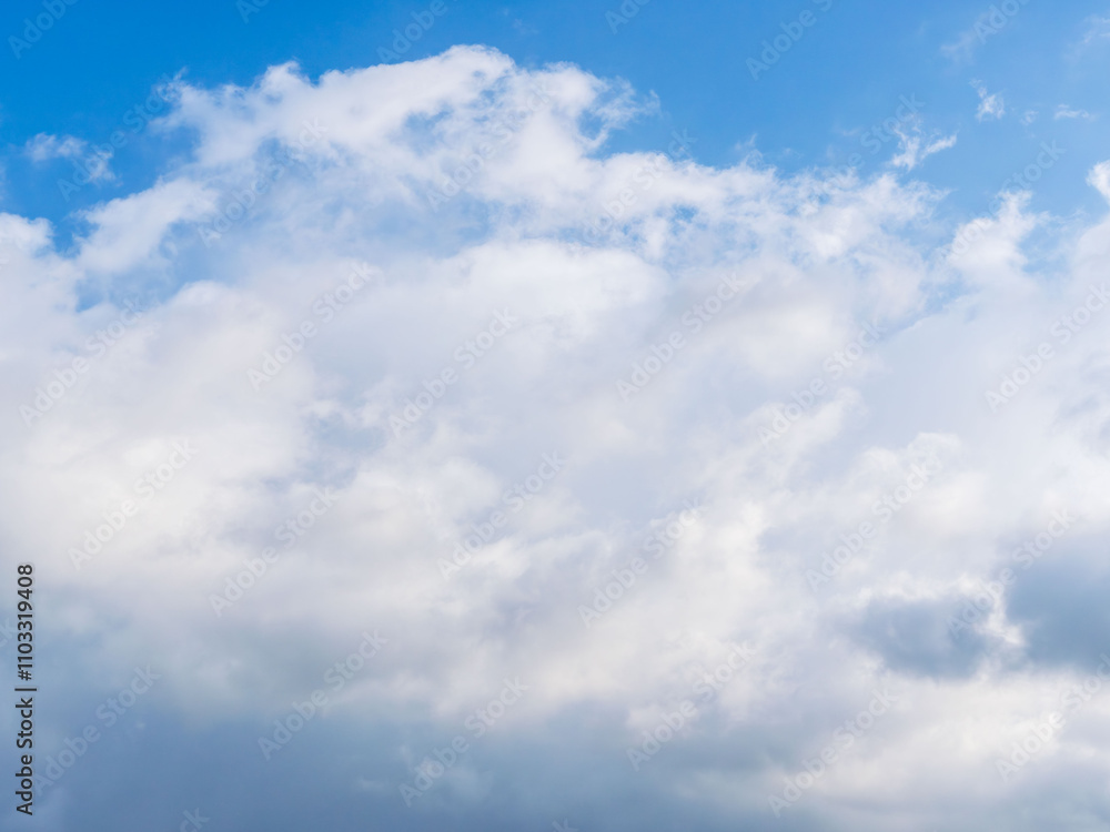 Fototapeta premium 秋雨の日の束の間の晴れ間17