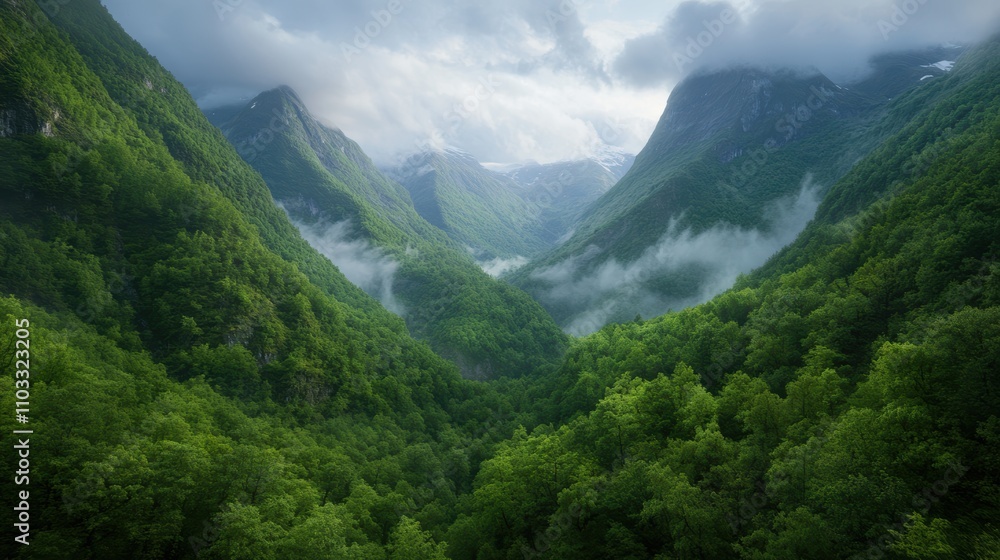 Obraz premium A breathtaking panorama of lush green valleys surrounded by towering mountains and fog, perfect for nature-themed projects, travel blogs, or environmental campaigns, Capture serenity and adventure,