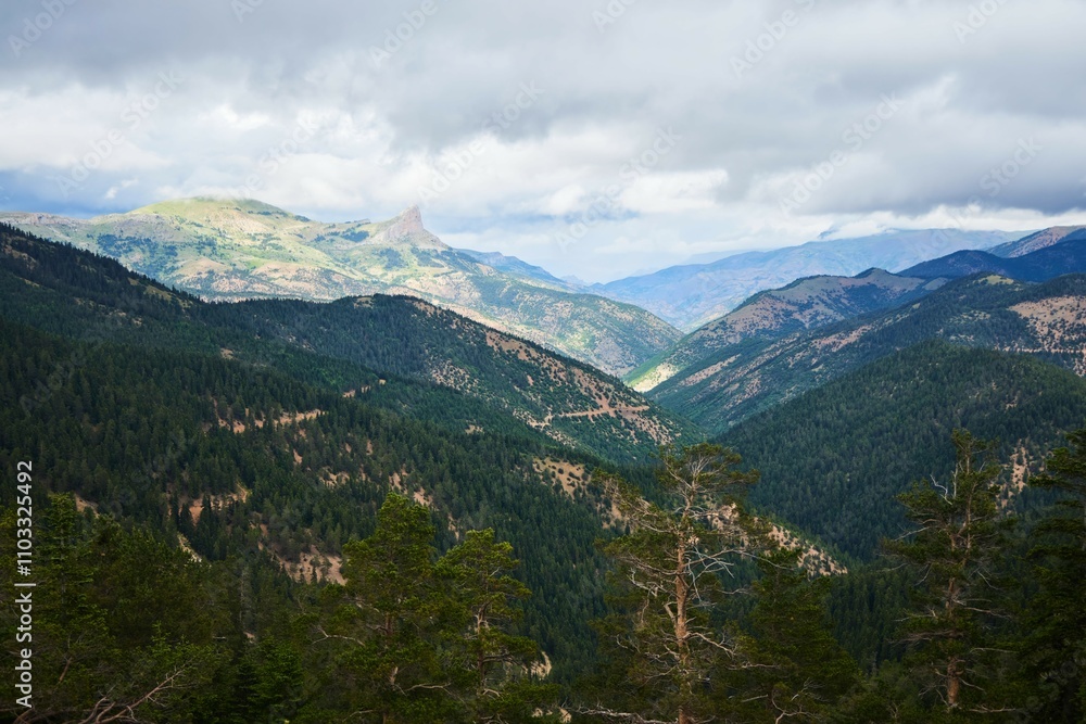 Obraz premium Beautiful high-altitude landscape. The Pontic Mountains of Turkey. The time of the year is summer.
