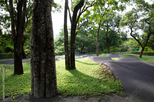 Black ethylene-propylene diene (EPDM) rubber track in the park. Balance bike lane for children.