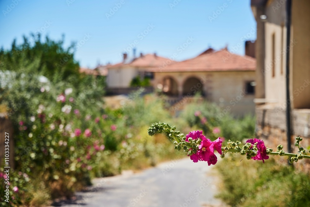 Fototapeta premium A branch of a flowering plant on the background of beautiful houses.