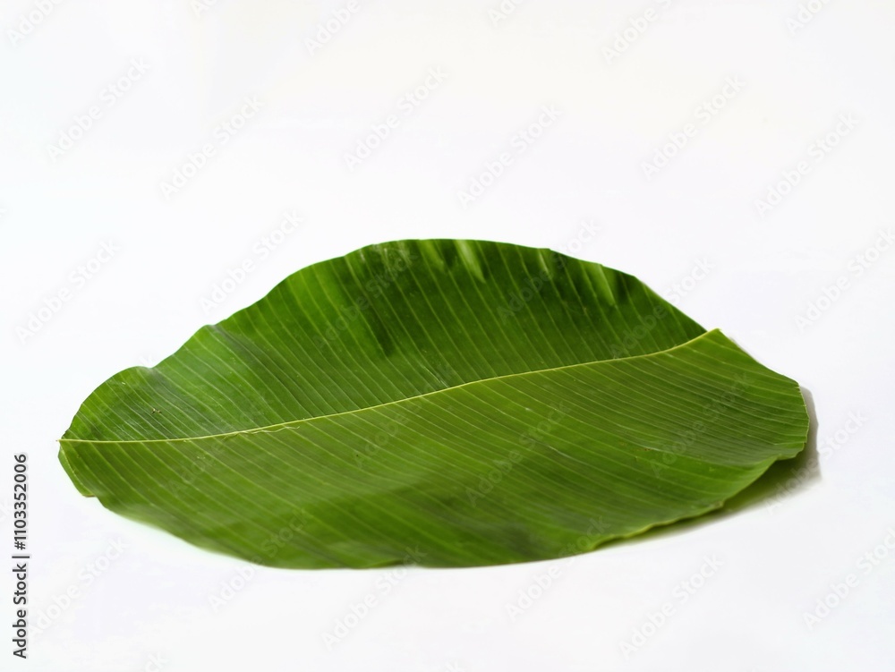Obraz premium Green banana leaf isolated white background highlights the organic textured backdrop, providing copy space for text or images, perfect for promoting traditional cuisine food and beverage