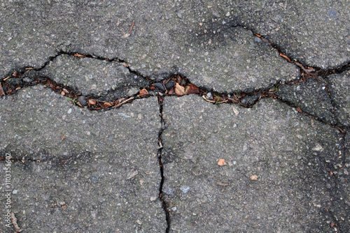 Canvas Print Detailed view of cracked pavement with small debris and leaves lodged in the gap