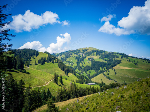 landscape in summer photo