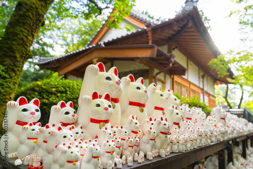 Obraz na płótnie Gotoku-ji temple and Maneki-Neko cat shaped figurines w salonie