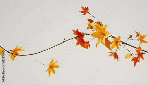 Autumn flower bordre png seasonal botanical, transparent background isolated highlighted by white, png photo