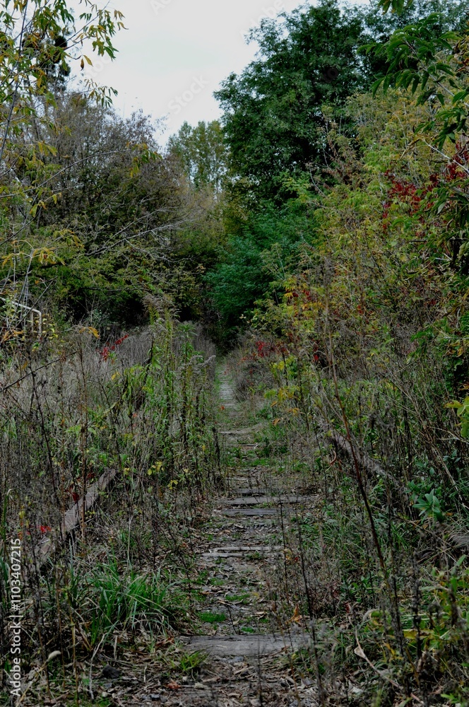 Fototapeta premium old railway road