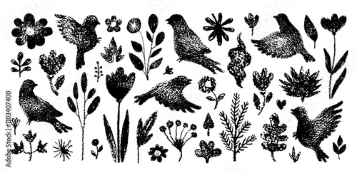 Foto Bird with flower, branch, plant