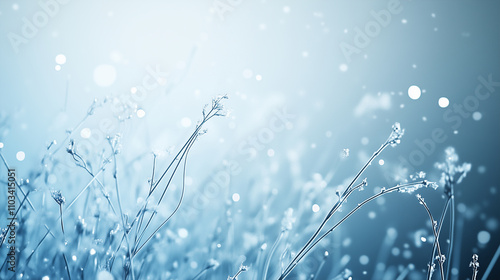 Winter-Themed Backgrounds with Snowflakes and Frosty Details